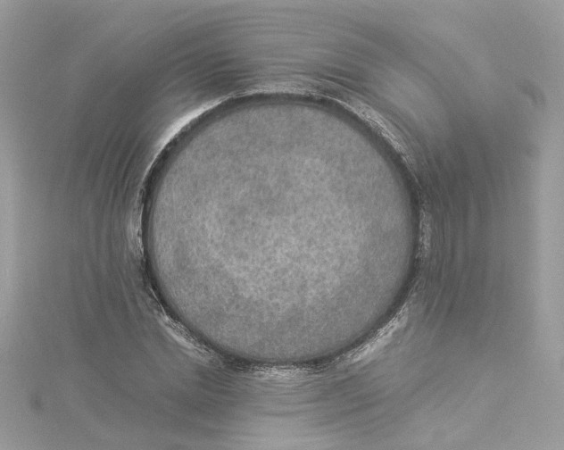 X0000114500830200911161232