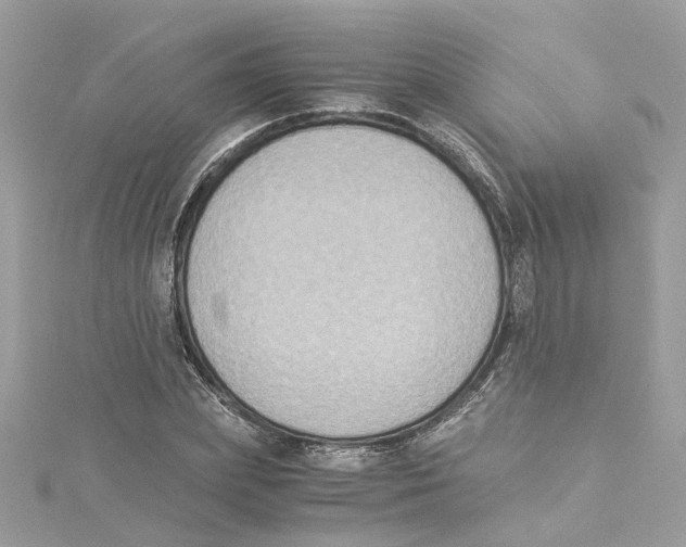 X0000114500831200911161232