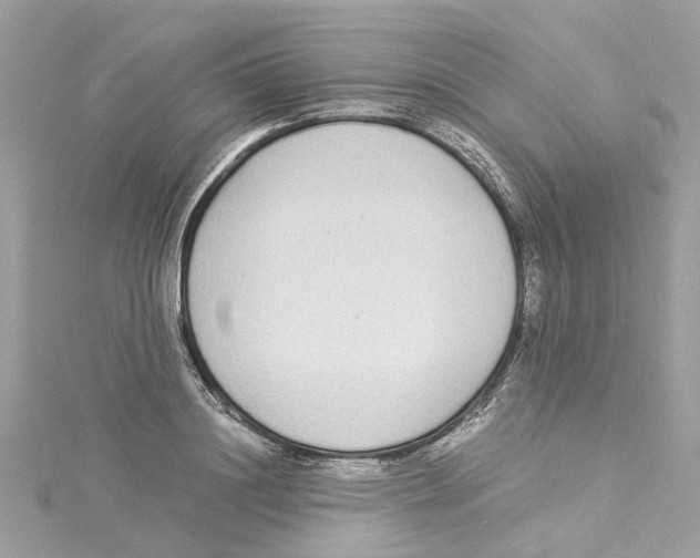 X0000114500844200911161232