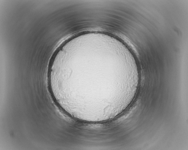 X0000114500845200911161232