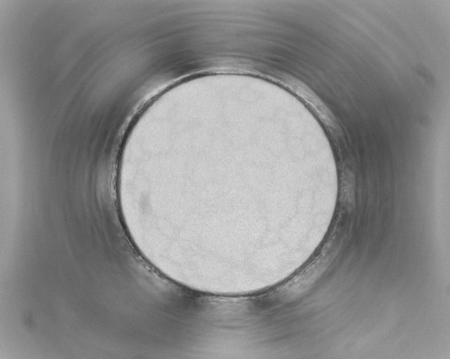 X0000114500856200911161232