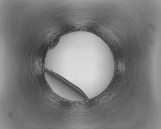 X0000114500868200911161232