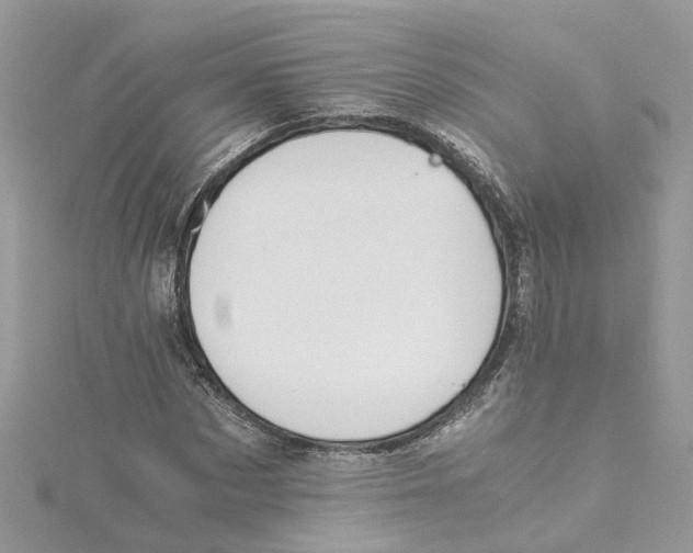 X0000114500873200911161231