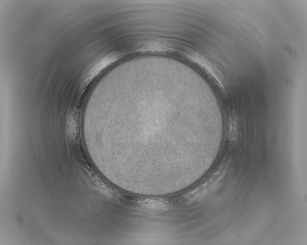 X0000114500874200911161231