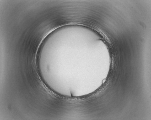 X0000114500876200911161231