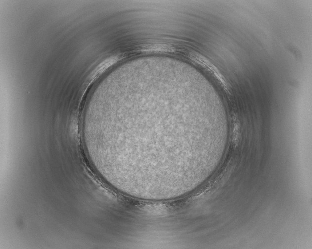 X0000114500882200911161231