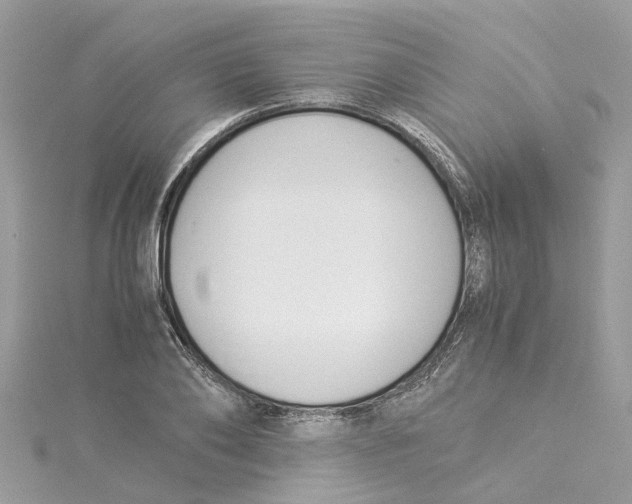 X0000114500886200911161231