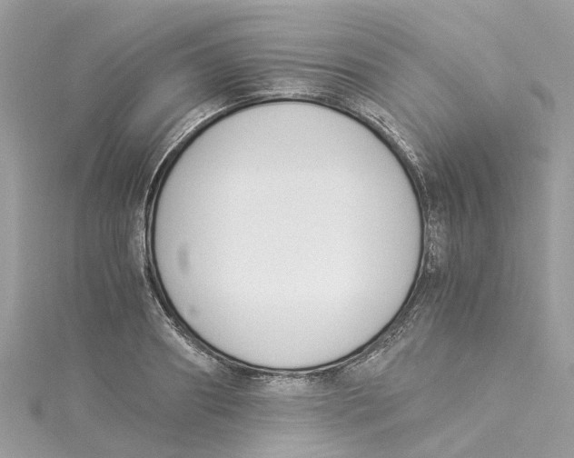 X0000114500890200911161231