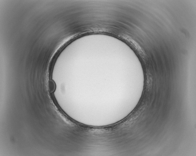 X0000114500894200911161231