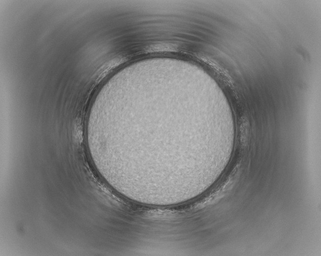 X0000114500929200911161231