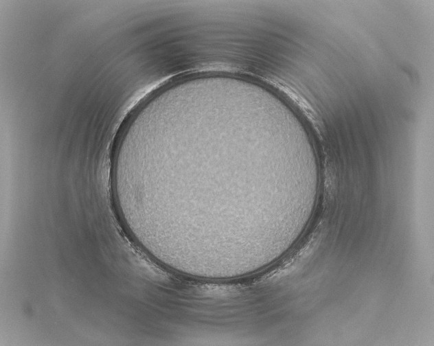 X0000114500933200911161231