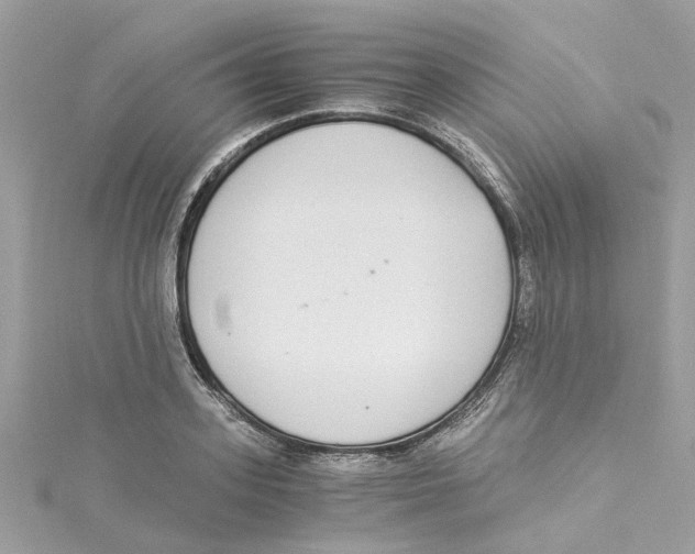X0000114500939200911161231