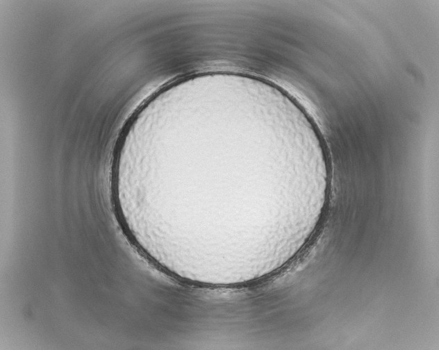 X0000114500949200911161231