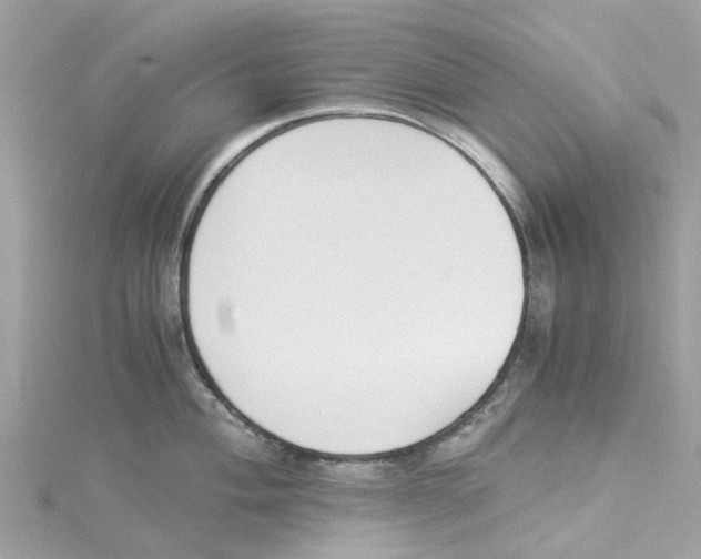 X0000114501004200911161230