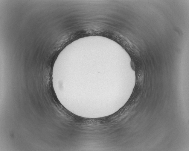 X0000114501012200911161229