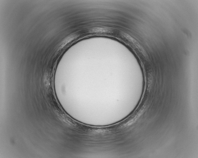 X0000114501017200911161229
