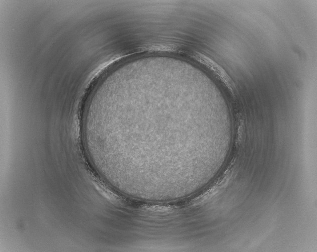 X0000114501027200911161229