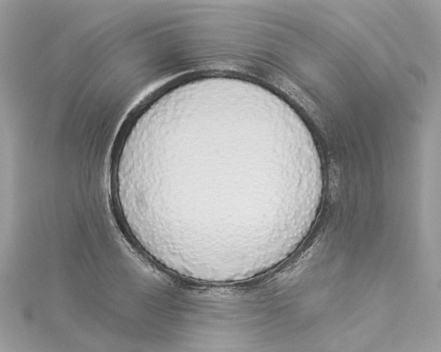X0000114501028200911161229