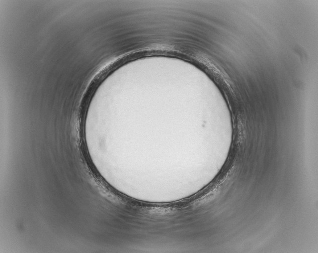 X0000114501029200911161229
