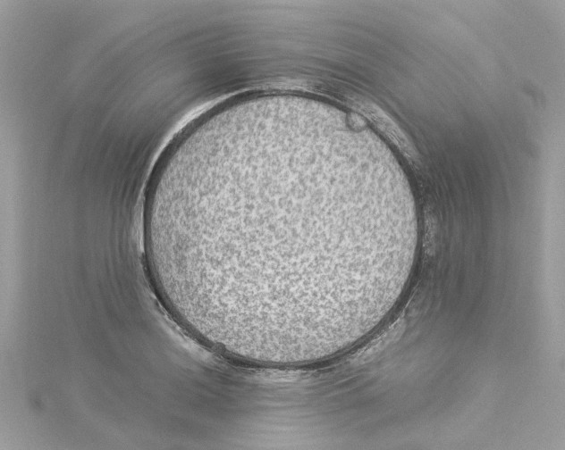 X0000114501036200911161229
