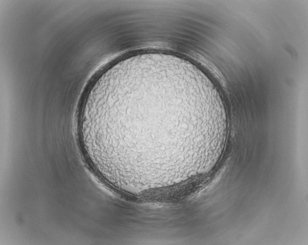 X0000114501037200911161229