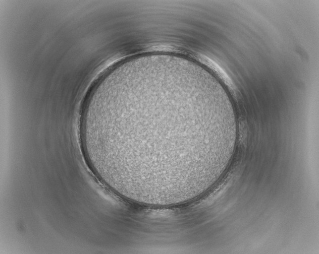 X0000114501043200911161230