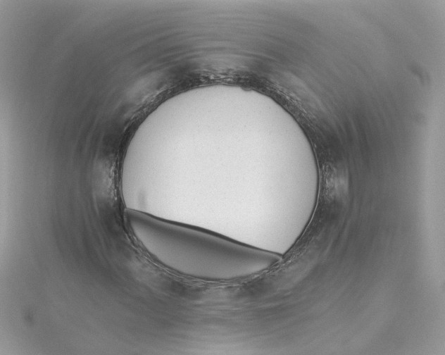 X0000114501060200911161229