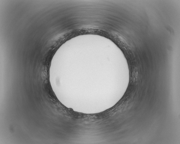 X0000114501062200911161229