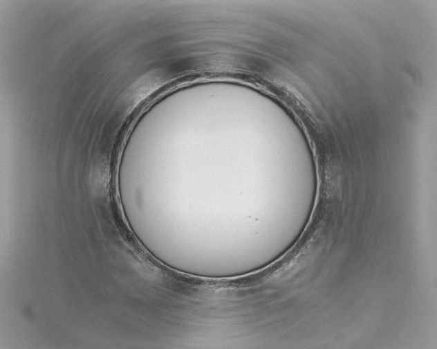 X0000114501065200911161229
