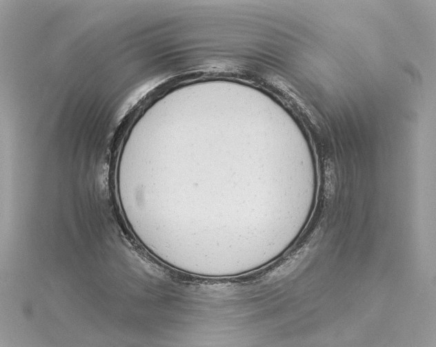 X0000114501066200911161229