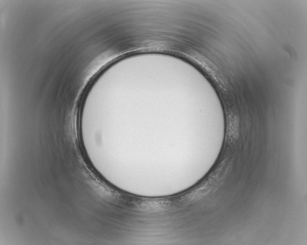 X0000114501078200911161229