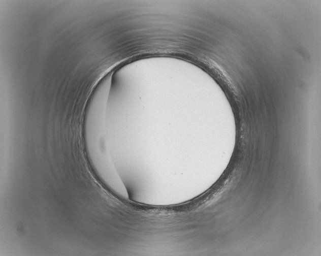 X0000114501081200911161229