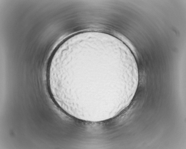 X0000114501099200911161229