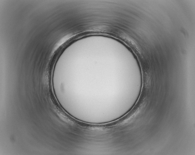 X0000114501114200911161228