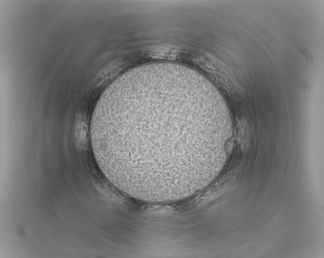 X0000114501154200911161228