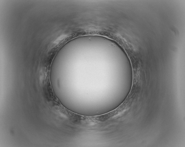 X0000114501157200911161228