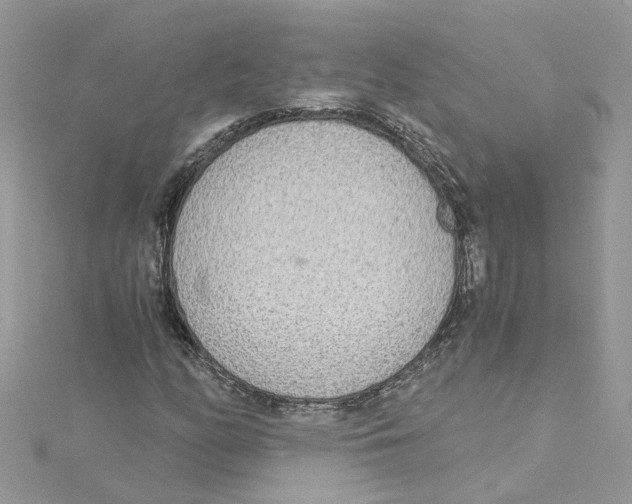 X0000114501158200911161228