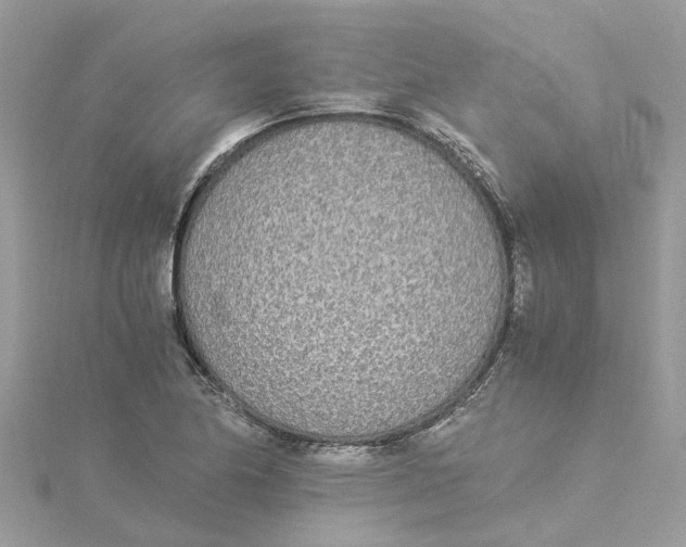 X0000114501174200911161228
