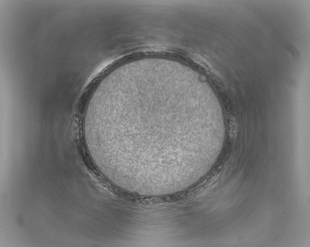 X0000114501208200911161227