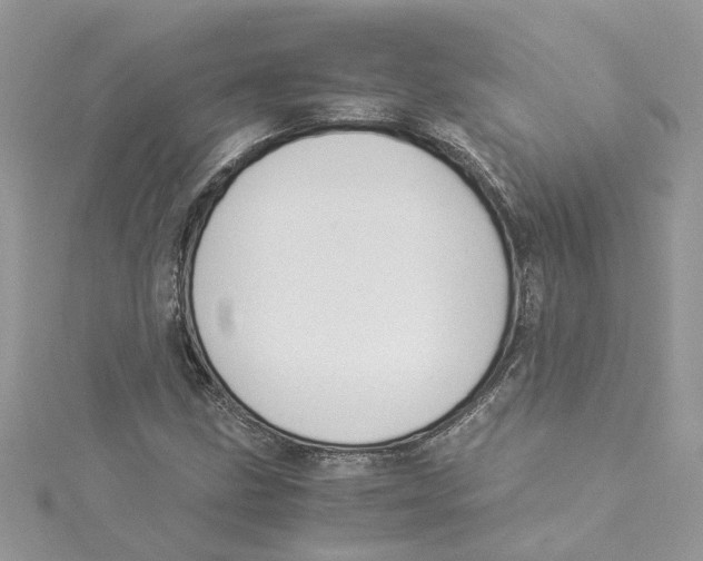 X0000114501211200911161227