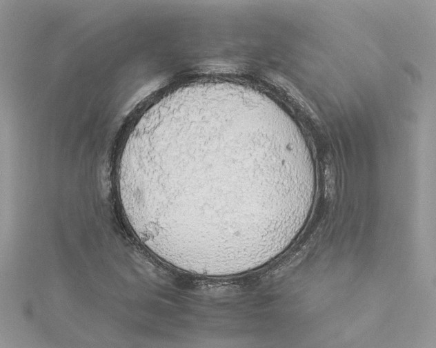 X0000114501213200911161227