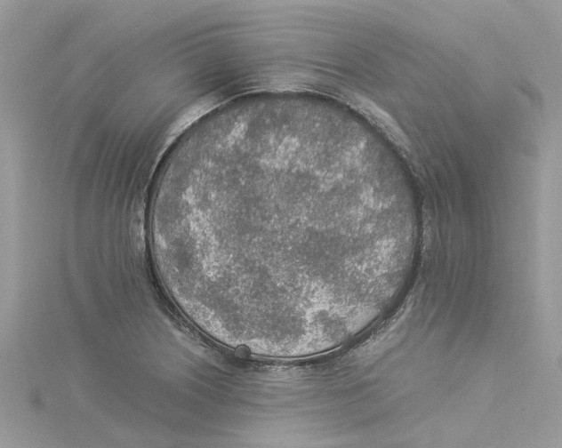 X0000114501226200911161227