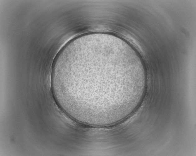 X0000114501228200911161227