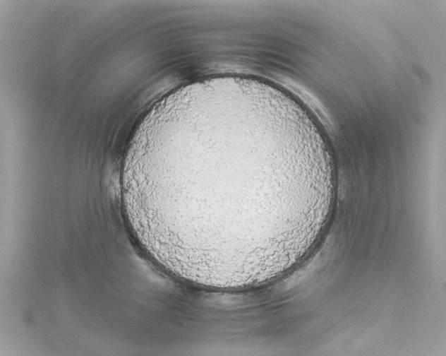X0000114501241200911161227