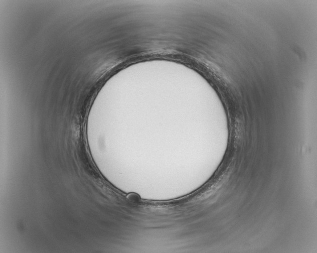 X0000114501257200911161226