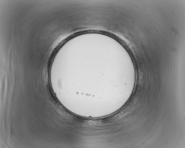 X0000114501271200911161226