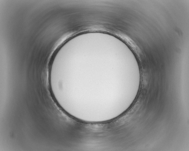 X0000114501286200911161226