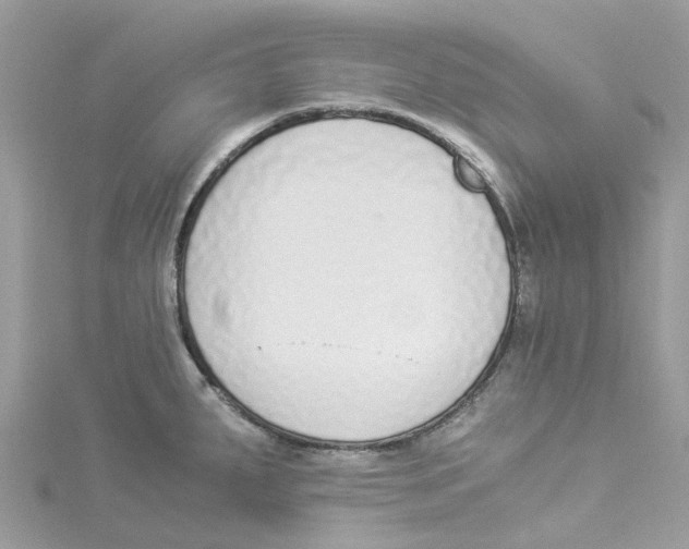 X0000114501287200911161226