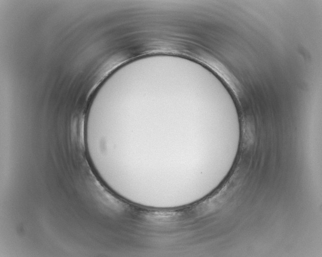X0000114501290200911161226