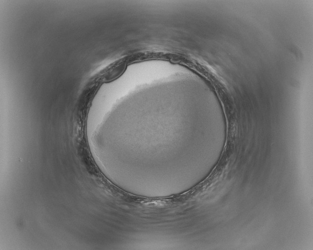 X0000114501303200911161225